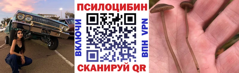 Галлюциногенные грибы GOLDEN TEACHER  hydra ссылки  Бахчисарай  наркотики 